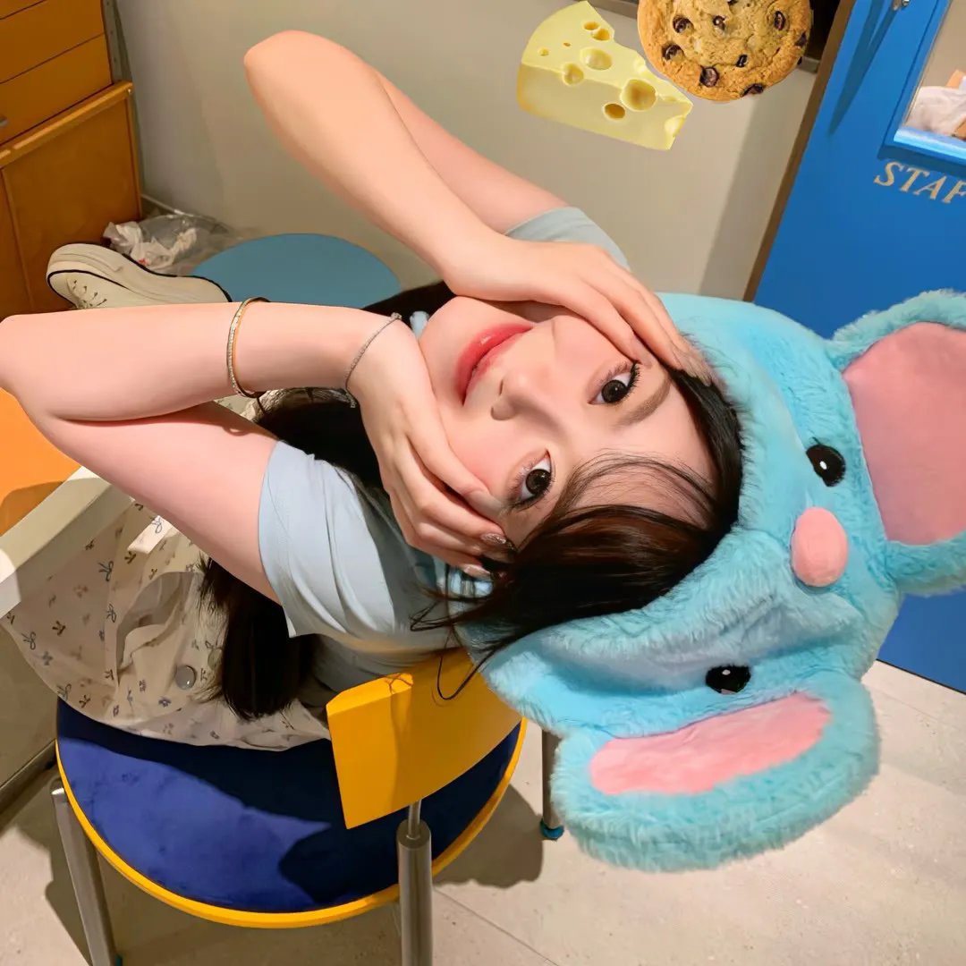 牦牛岁月